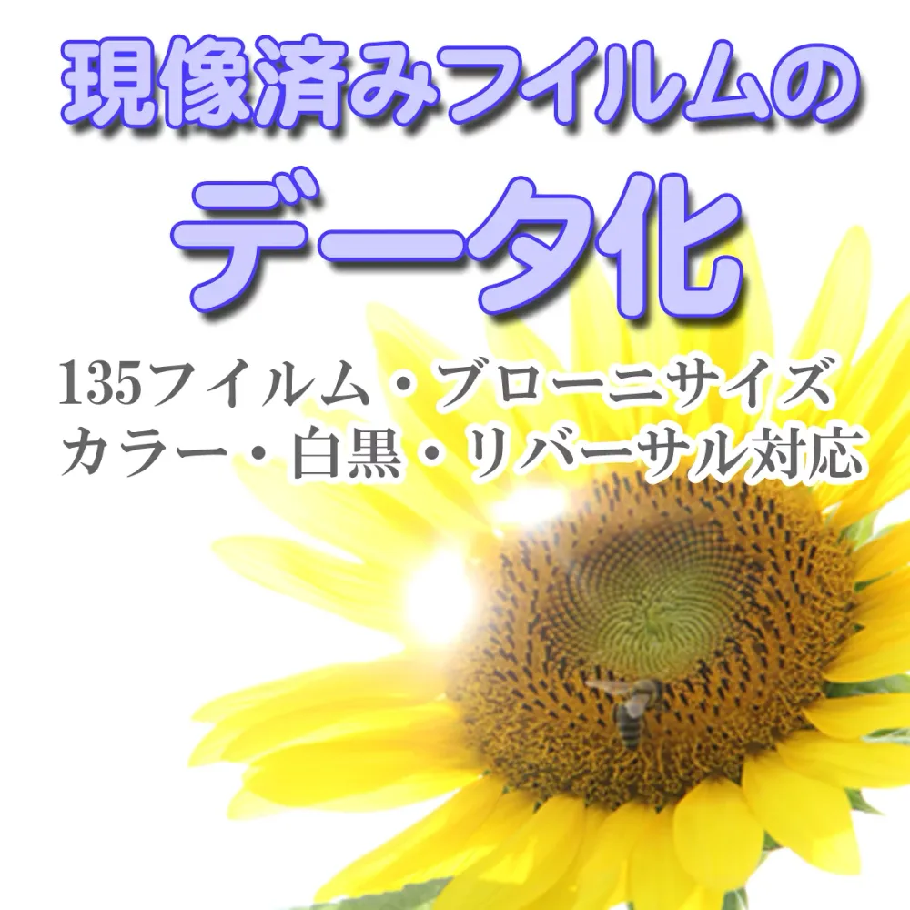 【2本以上のご注文でメール便に限り送料無料:追跡可能メール便は対象外です】現像済みのネガ(フイルム)をデータ(CD−R)に変換 デジタル化 ( フイルム現像済み ネガ現像済み フィルム現像済み 使い捨てカメラ )
