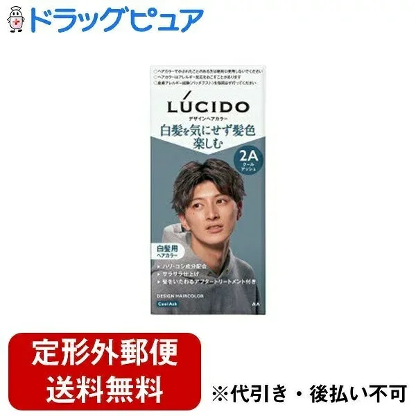 【本日楽天ポイント5倍相当】【定形外郵便で送料無料でお届け】株式会社マンダム LUCIDO(ルシード) デザインヘアカラー クールアッシュ 白髪染め メンズ【医薬部外品】 1剤 35g/2剤 70ml/アフタートリートメント 5g【TK450】