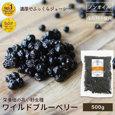 ノンオイル ワイルドブルーベリー 野生種 500g アメリカ産濃厚な甘み 油不使用だからさっぱりしたクリアーな上品な味わいドライフルーツ ブルーベリー ドライブルーベリー 上野 アメ横 ドライフルーツ 専門店
