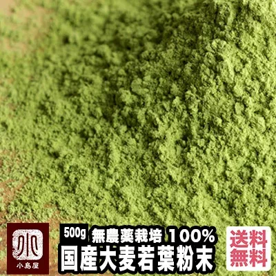 無農薬 栽培 特選 大麦若葉 500g 福井県産 100% 国産若く成長期にある大麦の若葉の栄養がギュっと詰まっています飲みやすい 大麦若葉粉末 パウダー 粉末 専門店 上野 アメ横