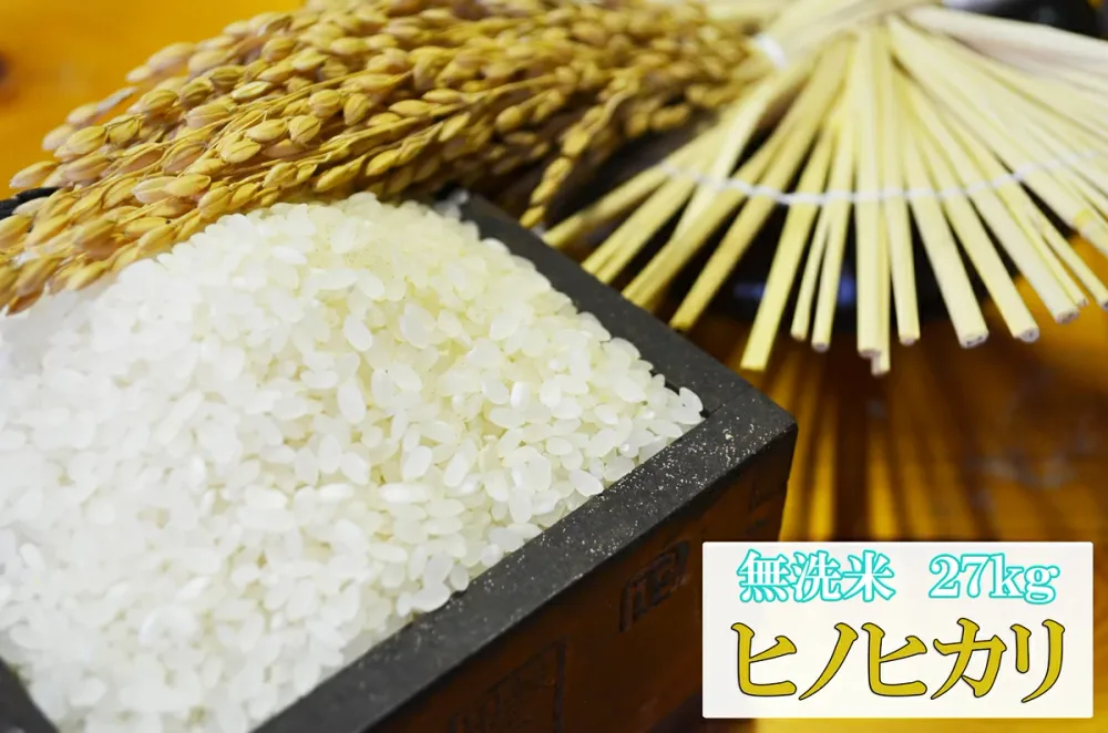 【無洗米27kg】【令和7年産】 九州 佐賀県白石産 ひのひかり 【送料無料】【精米無料】【小分け無料】ヒノヒカリ 【白石米】【05P02Aug14】【10P30Nov14】