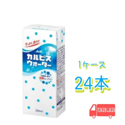 エルビー カルピスウォーター 250ml 紙パック 24本入り 1ケース 送料無料 常温