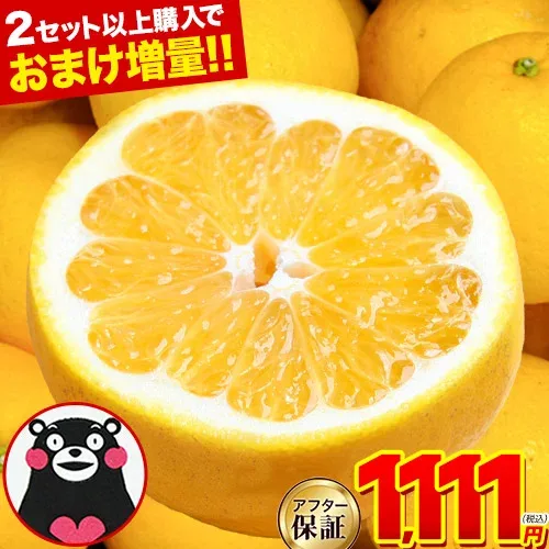 【24日20時からP10倍】河内晩柑 1.5kg 送料無料 和製 グレープフルーツ 果物 みかん 最大約 10kg 訳あり 夏文旦 晩柑 ジューシーみかん 熊本県産 お買い物マラソン 楽天スーパーSALE 熊本 《1-5営業日以内に発送予定》熊本