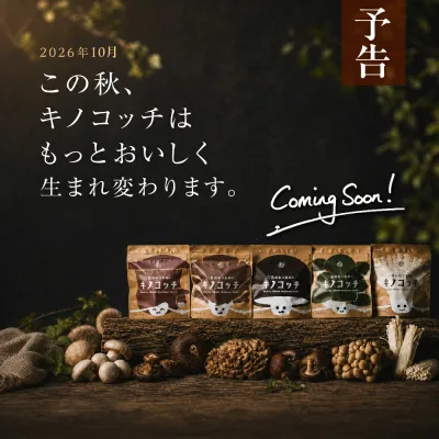 日本発!森のおつまみ!キノコッチ (きのこチップス)1袋から送料無料きのこの旨味と栄養を楽しむヘルシーおやつシリーズ|スナック菓子 野菜チップスおつまみ ギフト 楽天お買い物マラソン