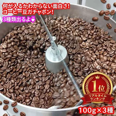 《受注後焙煎》\送料無料 メール便/ 高級豆をお得にゲット出来るかも? 粉でも豆でも可【コーヒー豆 100グラム×3袋3種類セット】コーヒー豆 福袋 コーヒー豆 お試し 珈琲豆 自家焙煎コーヒー豆 自家焙煎珈琲豆