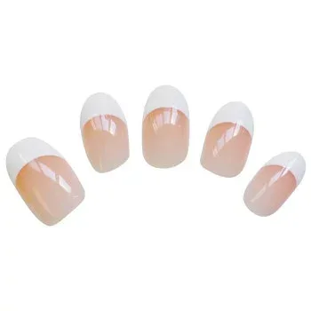 ビューティーネイラー プロフェッショナル スカルプティドアクリリックネイル ネイルキット AKIT-5 フレンチ【送料無料】 メール便対応商品