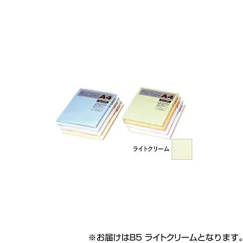 オストリッチダイヤ ニューファインカラーPPC用紙 B5 ライトクリーム 500枚入 FRC5-B5【送料無料】