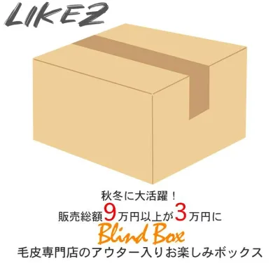 【今月特価】【レディース福袋】【返品交換不可】9万円以上相当が3万円! 超お得なレディース 本革毛皮アウター 小物 セット商品 M/L/2L/3L blindbox3