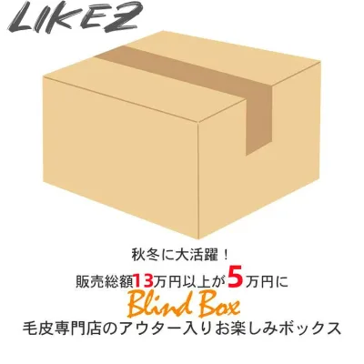 【今月特価】【レディース福袋】【返品交換不可】12万円以上相当が5万円! 超お得なレディース 本革毛皮アウター 小物 セット商品 M/L/2L/3L blindbox4