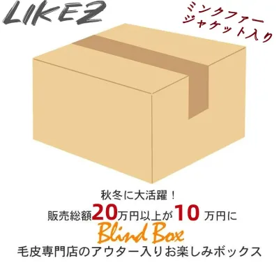 【今月特価】【レディース福袋】【返品交換不可】20万円以上相当が10万円! 超お得なレディース 本革毛皮アウター 小物 セット商品 M/L/2L/3L blindbox5