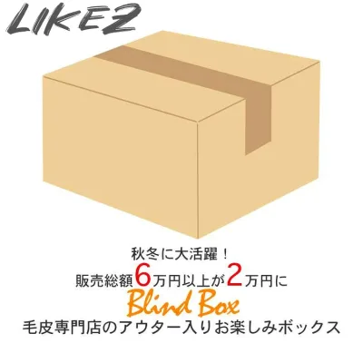 【今月特価】【メンズ福袋】【返品交換不可】6万円以上相当が2万円! 超お得なメンズ 本革 毛皮 ムートン アウター 小物 セット商品 M/L/2L/3L/4L k4z02