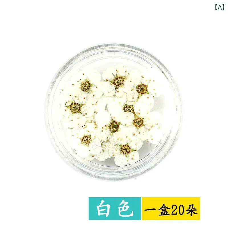 ネイル アクセサリー ドライフラワー プリンセス シリーズ かわいい 花びら 飾り 真花 素材 ステッカー 白色 ピンク系 イエロー オレンジ グリーン ブルー パープル レッド マルチカラー 20本 セット 甘め スタイル フレッシュ 花柄 パターン