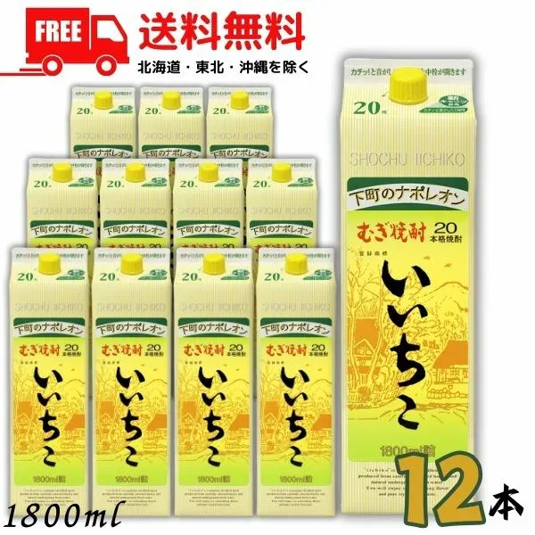 いいちこ 20度 1.8L パック 2ケース 12本 1800ml 麦焼酎 三和酒類 送料無料 LSC【東北・北海道・沖縄・離島の一部を除く】