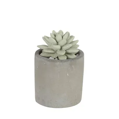 ダルトン DULTON ALOE FRAGRANCE DIFFUSER (WATER LILY)【交換・返品不可】