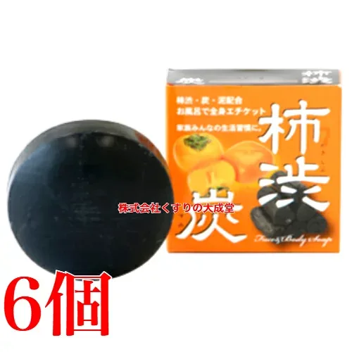 13時までのご注文当日発送 柿渋炭石鹸 100g 6個 中部薬品
