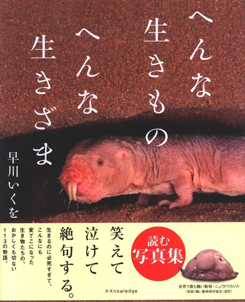 早川いくを へんな生きもの へんな生きざま