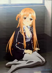 タペストリー ソードアート・オンラインⅡ BD1~5巻特典タペストリー ソフマップ