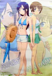 俺の妹がこんなに可愛いわけがないポータブル購入特典B2タペストリー ワンダーグー