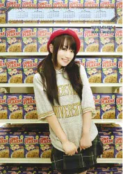 NANA CLIPS 6 水樹奈々 ゲーマーズ特典ポスターカレンダー2枚組
