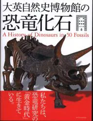 大英自然史博物館シリーズ 6 ポール・M・バレット 大英自然史博物館の恐竜化石