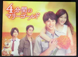 ドラマDVD 4分間のマリーゴールド DVD-BOX ※未開封