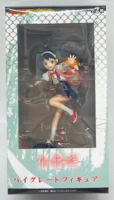 รูปเกรดสูง Sega Hachikuji Mayoi 1