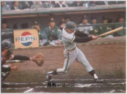カルビー製菓 73年度版 第10ブロック 桜井輝秀 【旗】 358