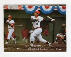 カルビー 76年 第9ブロック 衣笠祥雄 295