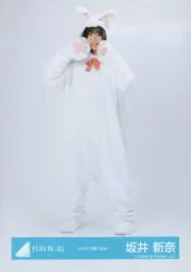 日向坂46 2025年ランダム生写真 坂井新奈 どうぶつ着ぐるみ ヒキ