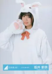 日向坂46 2025年ランダム生写真 坂井新奈 どうぶつ着ぐるみ チュウ