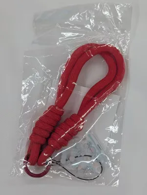 乃木坂46 真夏の全国ツアー2025 スティックライトストラップ 赤