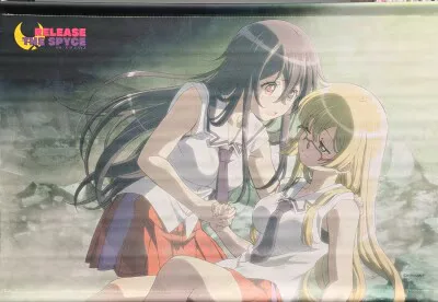グランマルシェ RELEASE THE SPYCE 五恵&初芽 キービジュアル B3タペストリー