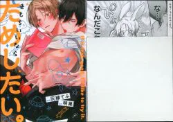 一迅社 IDコミックス/gateauコミックス 灰縁てふ きもちいいならためしたい。 アニメイト4Pリーフレット付