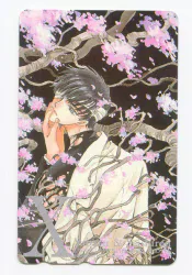 Kadokawa Shoten ASUKA CLAMP Kosho style)X -X- Telephone card