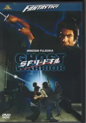 外国映画DVD SFソードキル