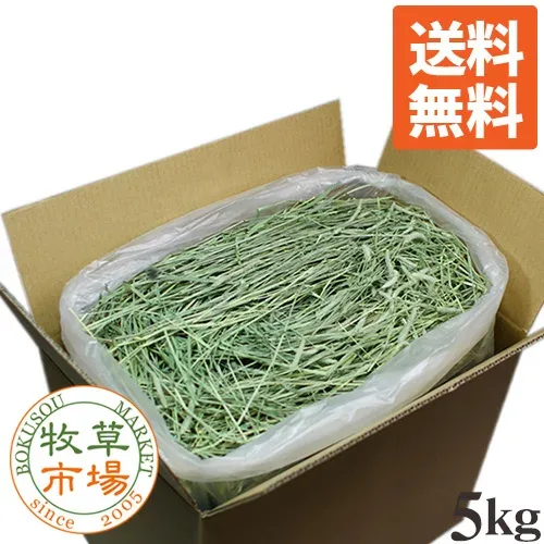 【送料無料】◆令和8年度産新刈り◆牧草市場 スーパープレミアムチモシー1番刈り牧草5kg(うさぎ・モルモットなどの牧草 業務用 シングルプレス)