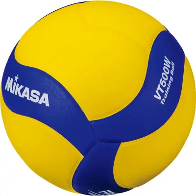 MIKASA(ミカサ)バレーボール トレーニングボール5号球 500g【VT500W】