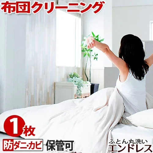 【最安値】羽毛布団 クリーニング 保管 可 布団 クリーニング 防ダニ・カビ加工セット【1枚】ふとん 丸洗い 宅配