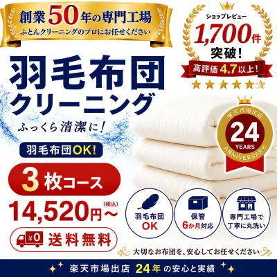 羽毛布団 クリーニング 布団クリーニング ダウン 布団 クリーニング 羽毛 ふとん 丸洗い 3枚 保管オプション追加可 宅配 宅配クリーニング