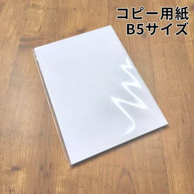 【24日1:59までクーポン配布中】コピー用紙 B5 少量 100枚 200枚(100枚×2)|PPC用紙 高白色 プリンター用紙 レーザー・インクジェット対応|紙屋が選んだ