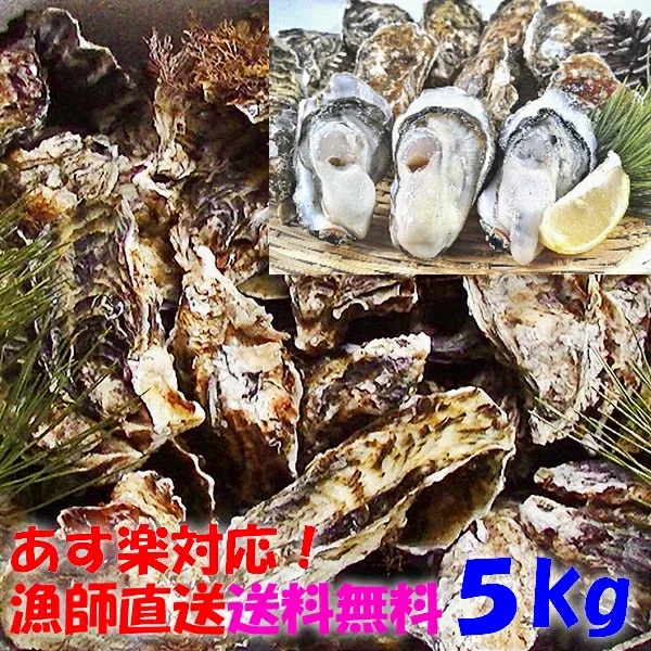 【10%OFFクーポン有 】牡蠣 殻付き 生牡蠣 加熱用 5kg 【目安45個】殻付き 5キロ 牡蛎 殻付 宮城県産 無選別牡蠣 カキ 貝類 貝 kaki oyster 松島牡蠣屋 BBQ バーベキュー 「牡蠣 加熱用5kg」【ふるさと納税リンクあり】