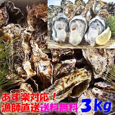 【10%OFFクーポン有 】加熱用3キロ 無選別牡蠣 カキ 松島牡蠣屋 海産物 魚介類 魚介海鮮「牡蠣 加熱用 3kg」貝類 貝 kaki oyster オイスター【ふるさと納税リンクあり】