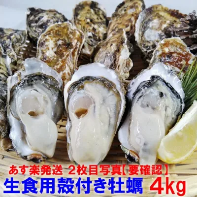 【10%OFFクーポン有 】牡蠣 殻付き 生牡蠣 「生食用 殻付き 牡蠣 4kg」 (30~55粒)貝類 貝 kaki oyster オイスター 牡蛎 牡蠣 殻付 宮城県産 カキ バーベキューBBQ【100】貝類 貝 kaki oyster オイスター【ふるさと納税リンクあり】