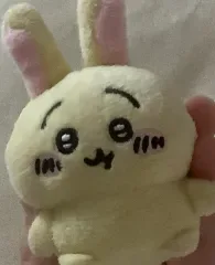 うさぎ おすわりぬい ガチャ