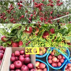いろんなりんご☆現在販売中 3kg 青森県産