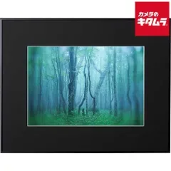 【新品】ケンコー ギャラリー W4切り ブラック 《納期約2週間》