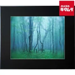 【新品】ケンコー ギャラリー 全紙 ブラック 《納期約2週間》