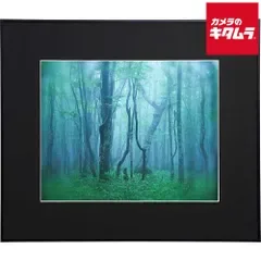 【新品】ケンコー ギャラリー 半切 ブラック 《納期約2週間》