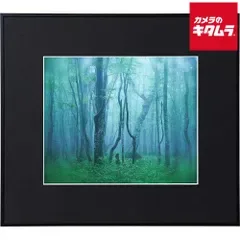 【新品】ケンコー ギャラリー 4切り ブラック 《納期約2週間》