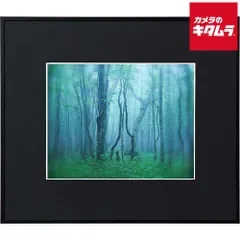 【新品】ケンコー ギャラリー 6切り ブラック 《納期約2週間》